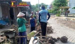 CollageMaker_20210703_101943923