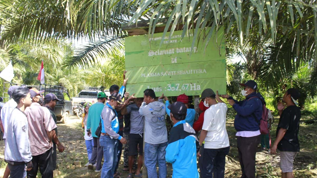 Masyarakat dan Koperasi Sawit Sejahtera (KSS) Kampung Lempake Tuntut PT. DLJ Berikan Hak Mereka