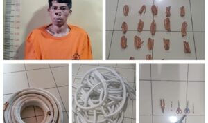 IMG-20251211-WA0082_copy_800x800