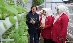 IMG-20260206-WA0288(1)