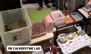 IMG-20260331-WA0213(1)