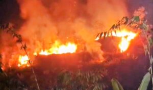 IMG-20260811-WA0026